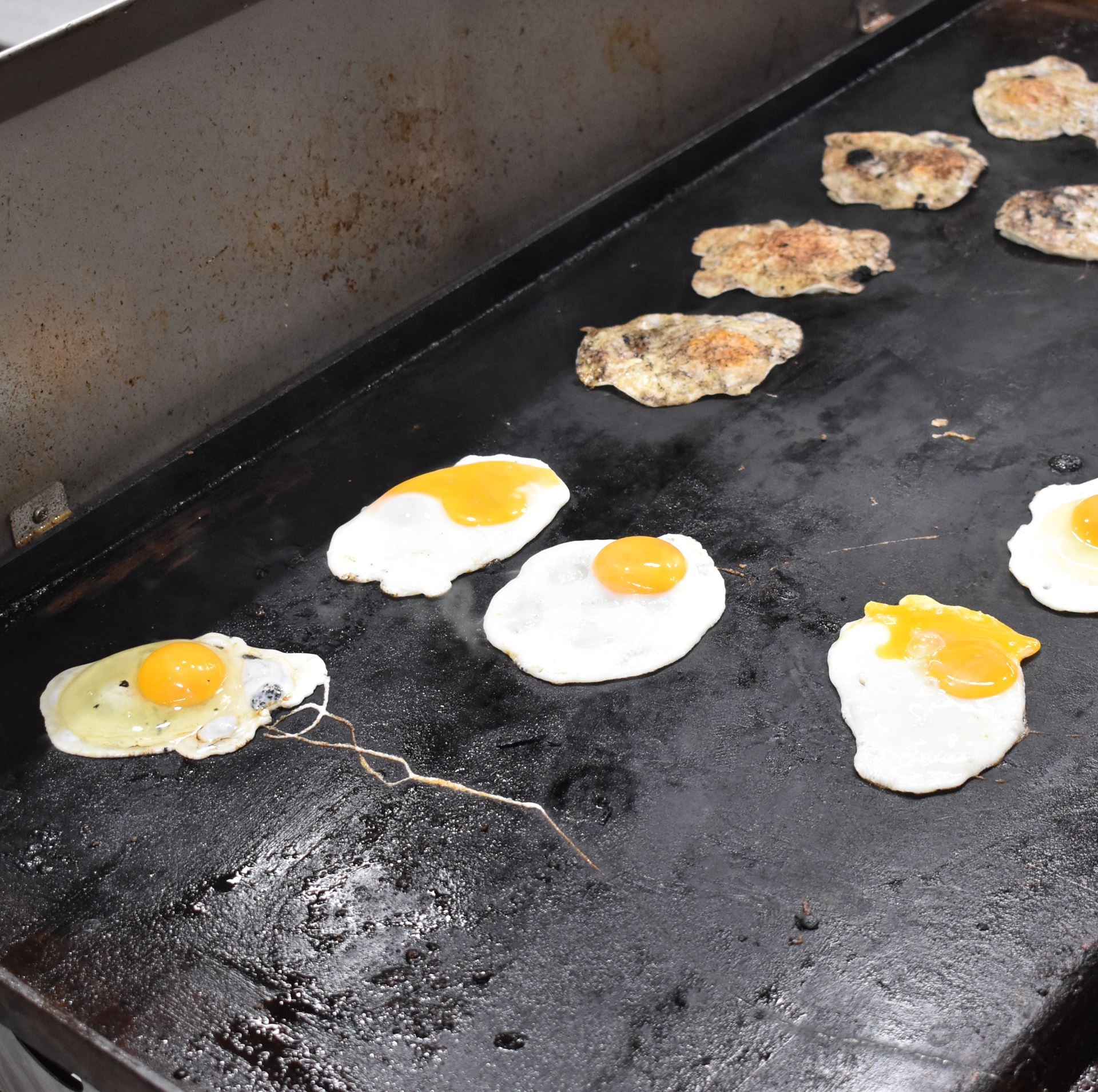 A Biased View of Cast Iron Bbq Cooking Hot Plate 463 X 285mm