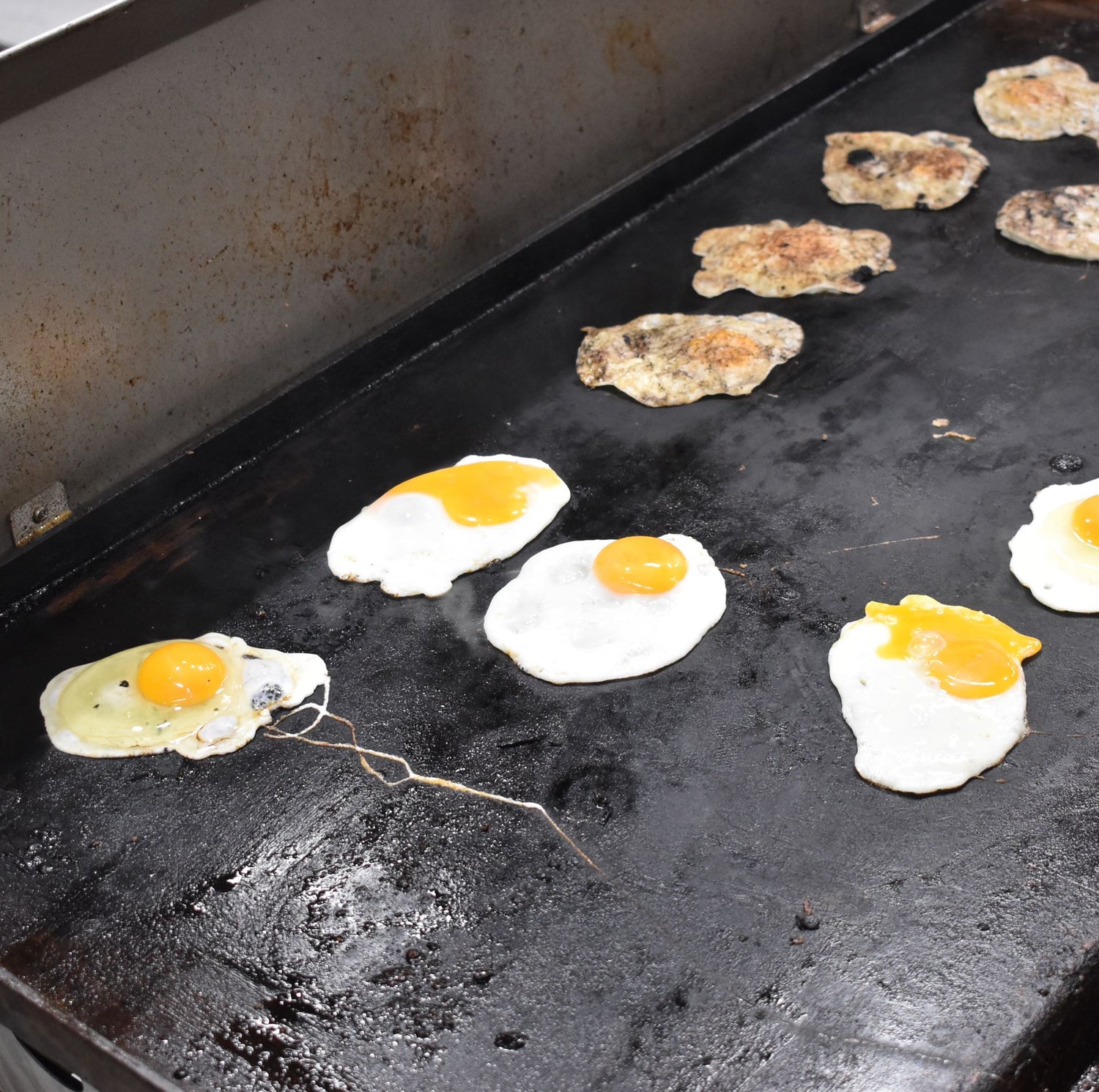 Mild Steel BBQ Plate Guide Heatlie BBQs